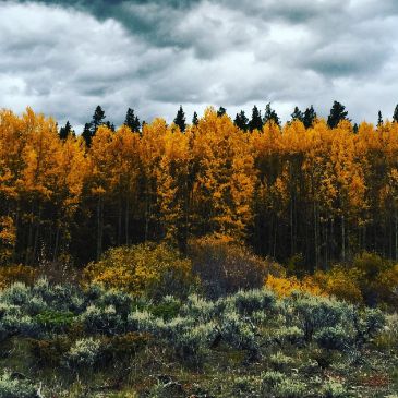 Colorado mountain landscape